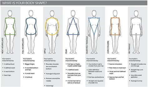 Understanding Body Types